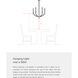 Dalia 4 Light 24 inch Matte Black Chandelier Ceiling Light